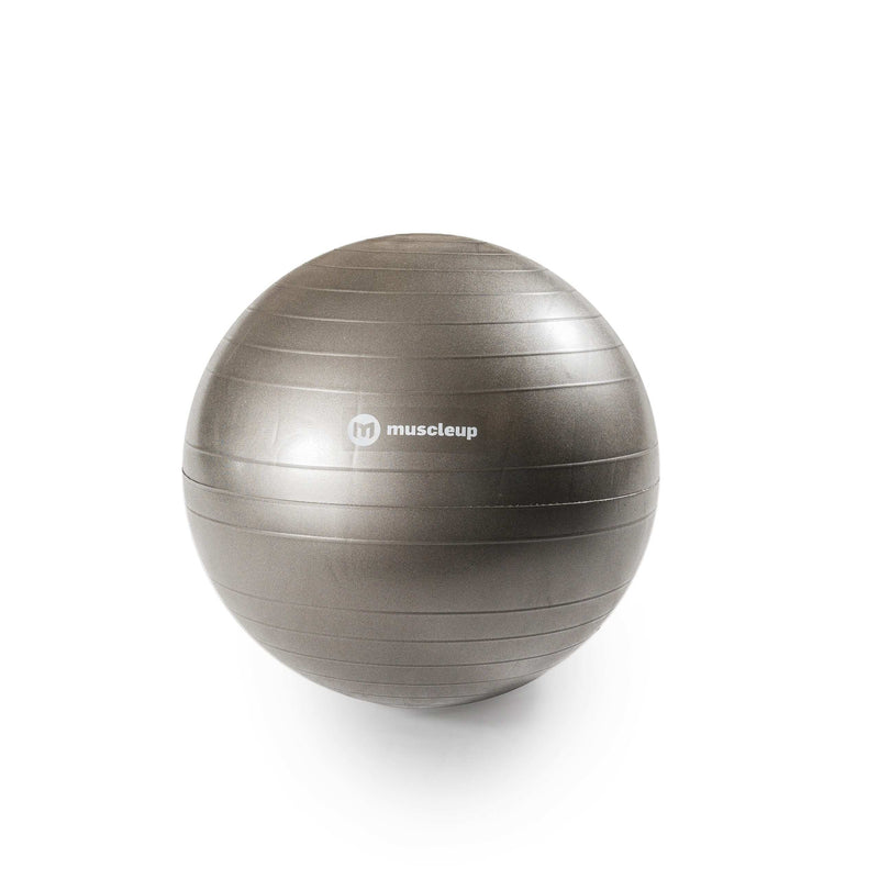 Ballon de stabilité Muscle Up