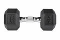 York PEV Rubber Hexagonal Dumbbells