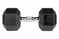 York PEV Rubber Hexagonal Dumbbells