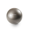 Muscle Up Stability Ball