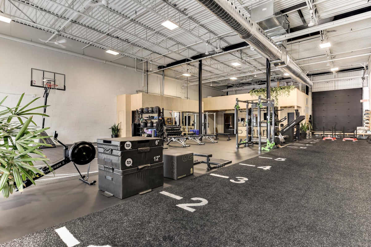 Unleashed Fitness