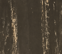 ProXL Vulcanized Rubber Flooring Roll