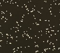 ReAction Interlocking Vulcanized Rubber Flooring Tile