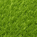 TP Athletic Turf