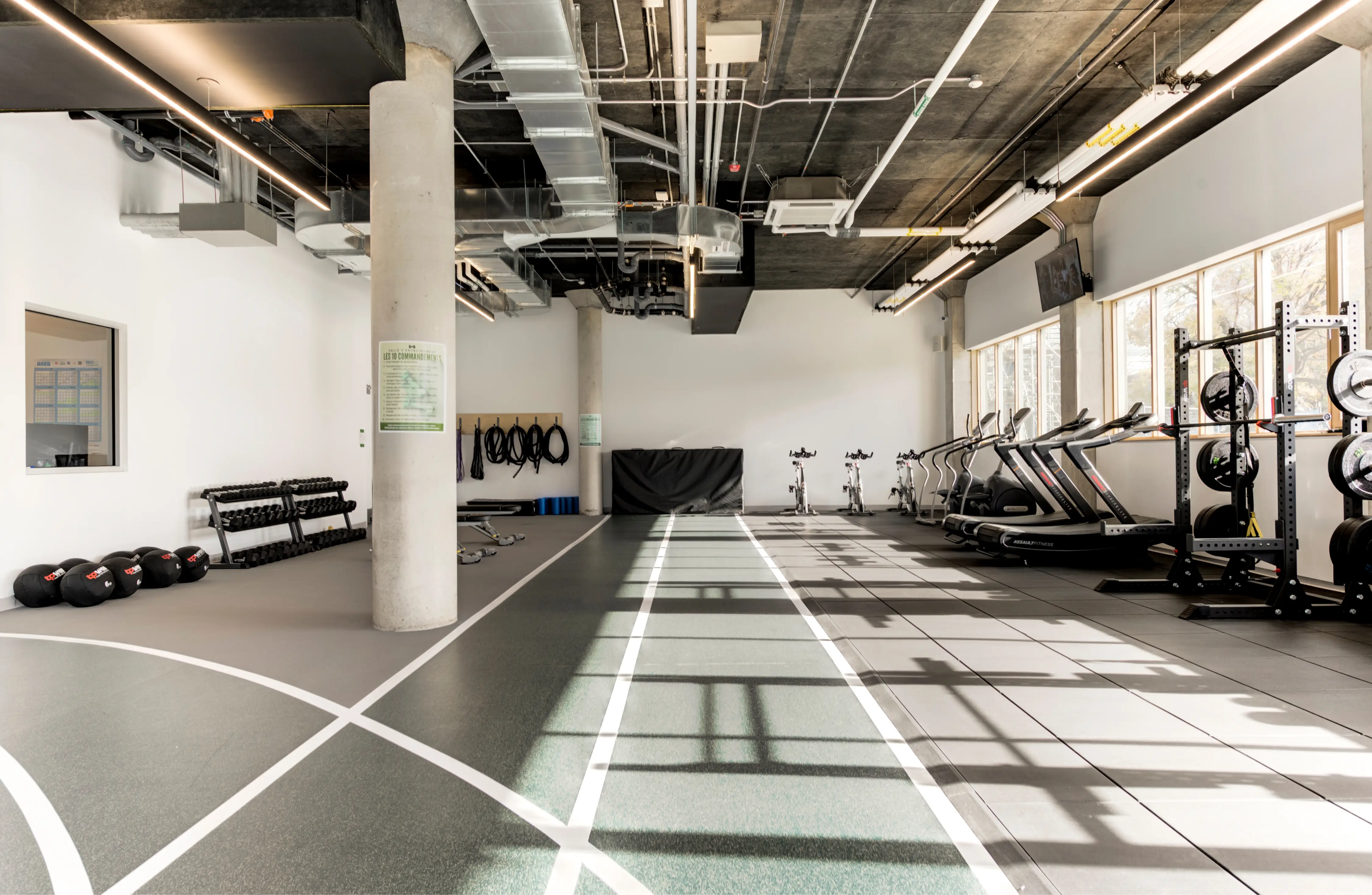 Premium fitness equipment and gym design